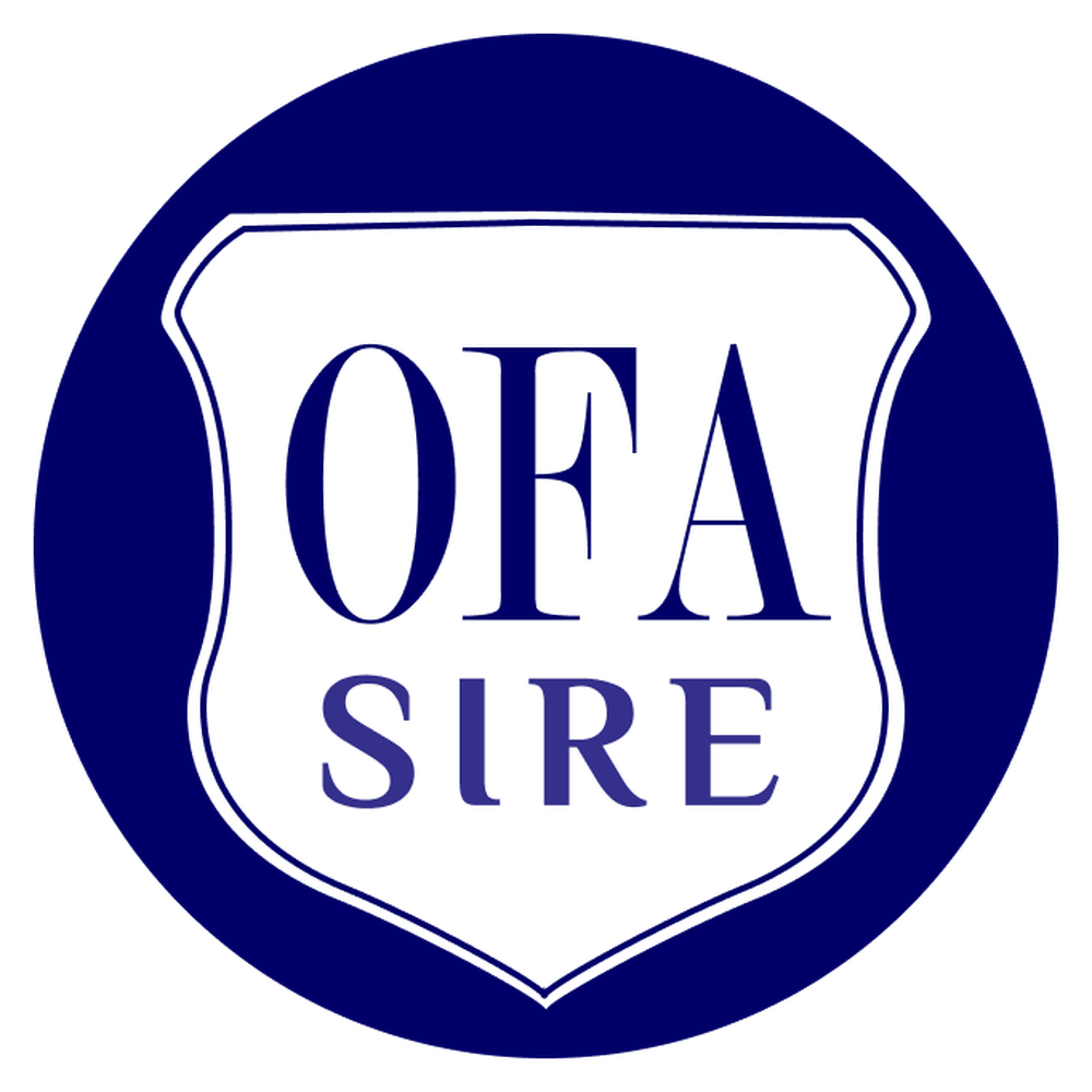 Sas