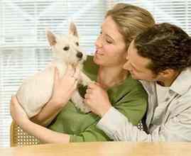 Two people holding a white dog.